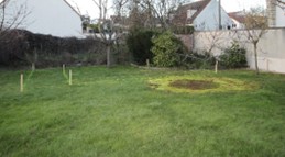 Jardin en pelouse avant la création de la piscine